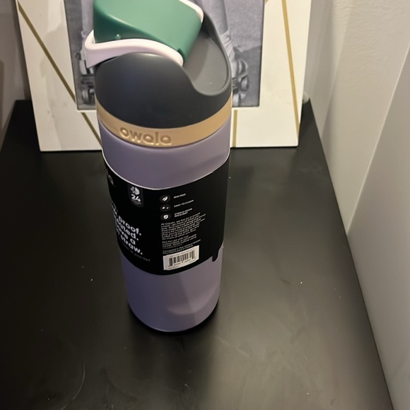 Owala FreeSip Stainless Steel Bottle 24oz Color: Due North - Picture 2 of 2